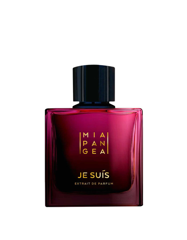 Je Suis Xdp
